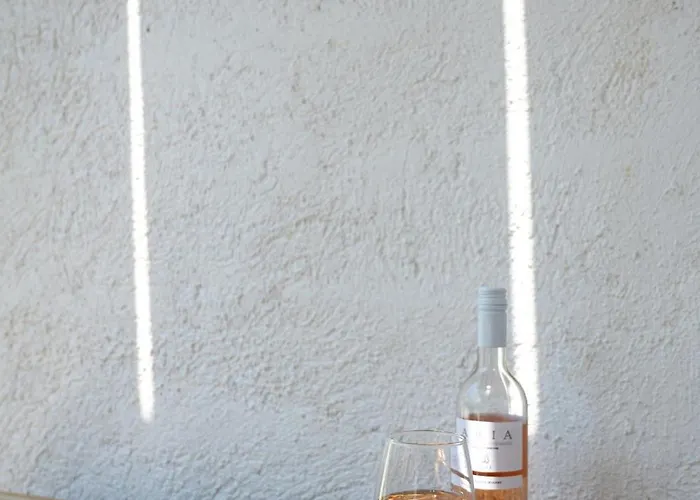 Centro Stone House *